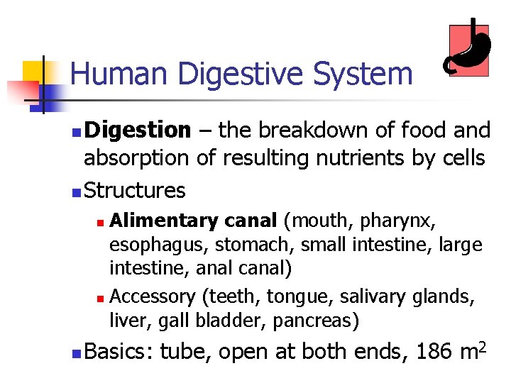Human Digestive System Digestion – the breakdown of food and absorption of resulting nutrients Human Digestive System Digestion – the breakdown of food and absorption of resulting nutrients