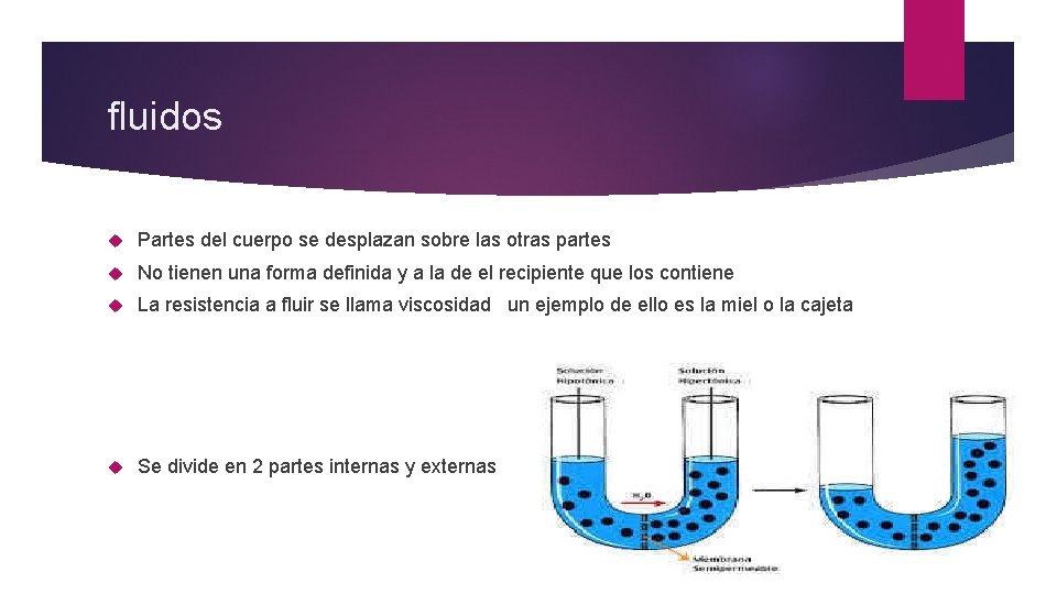 fluidos Partes del cuerpo se desplazan sobre las otras partes No tienen una forma