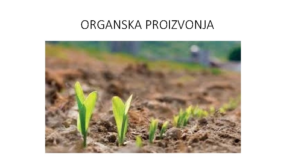 ORGANSKA PROIZVONJA 