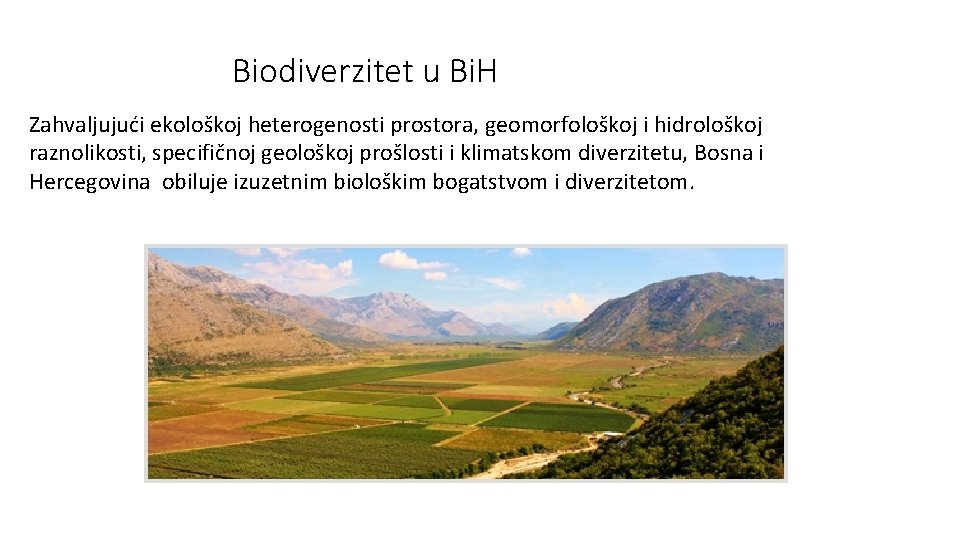 Biodiverzitet u Bi. H Zahvaljujući ekološkoj heterogenosti prostora, geomorfološkoj i hidrološkoj raznolikosti, specifičnoj geološkoj