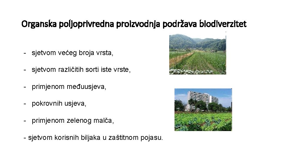 Organska poljoprivredna proizvodnja podržava biodiverzitet - sjetvom većeg broja vrsta, - sjetvom različitih sorti