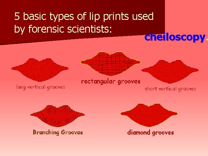 5 basic types of lip prints used by forensic scientists: cheiloscopy. 5 basic types of lip prints used by forensic scientists: cheiloscopy.