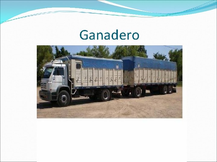 Ganadero 