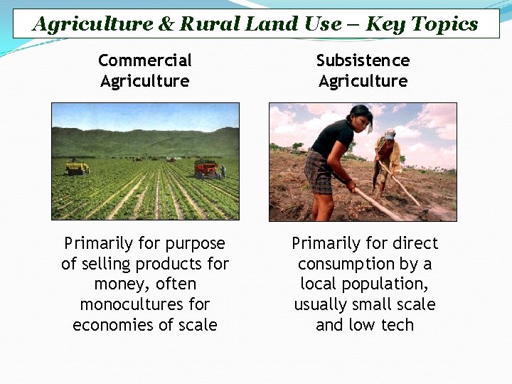 Agriculture & Rural Land Use – Key Topics Commercial Agriculture Subsistence Agriculture Primarily for
