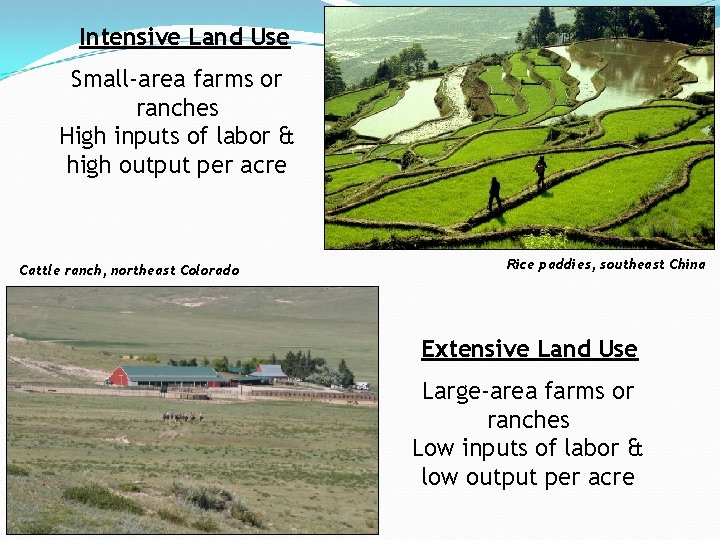 Intensive Land Use Small-area farms or ranches High inputs of labor & high output