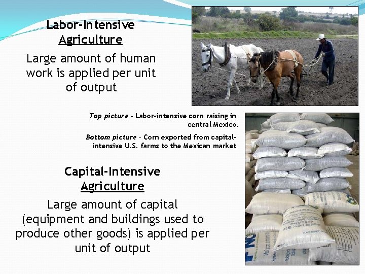 Labor-Intensive Agriculture Large amount of human work is applied per unit of output Top