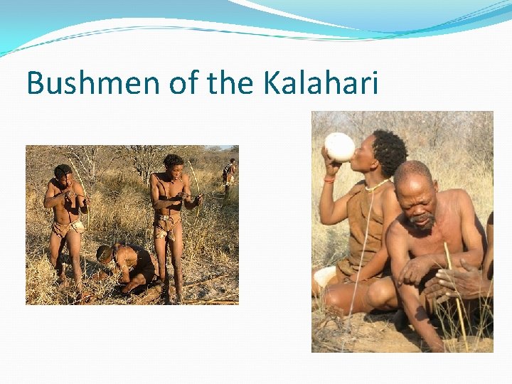 Bushmen of the Kalahari 