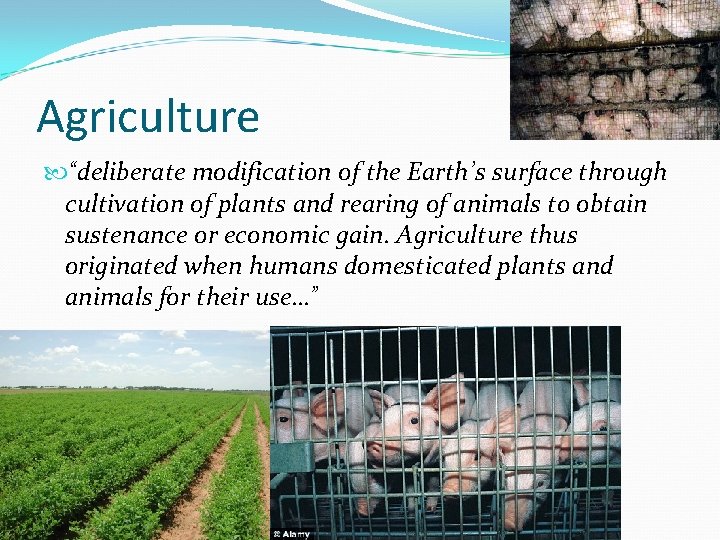 Agriculture “deliberate modification of the Earth’s surface through cultivation of plants and rearing of