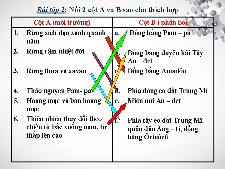 Bài tập 2: Nối 2 cột A và B sao cho thích hợp Cột