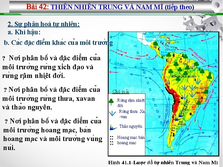 THIÊN NHIÊN TRUNG VÀ NAM MĨ (tiếp theo) 2. Sự phân hoá tự nhiên: