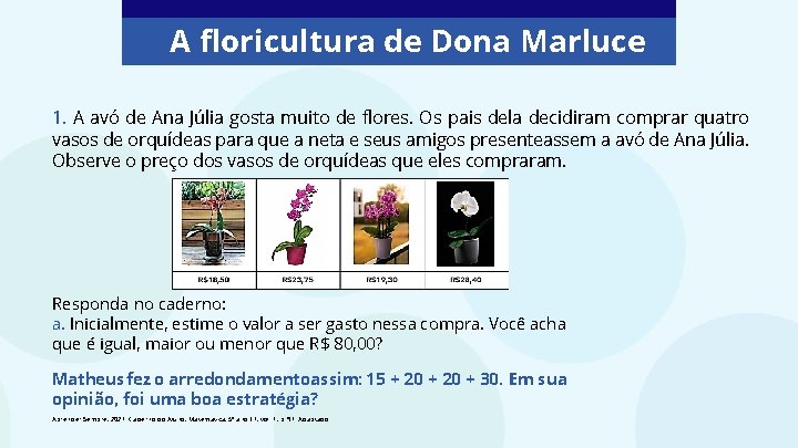 A floricultura de Dona Marluce 1. A avó de Ana Júlia gosta muito de