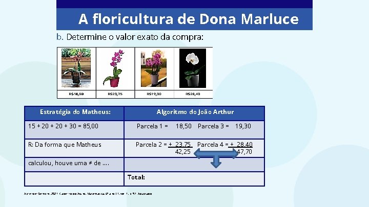 A floricultura de Dona Marluce b. Determine o valor exato da compra: Estratégia do