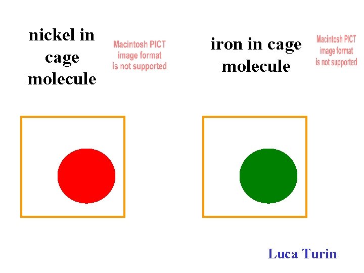 nickel in cage molecule iron in cage molecule Luca Turin 