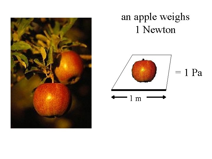 an apple weighs 1 Newton = 1 Pa 1 m 