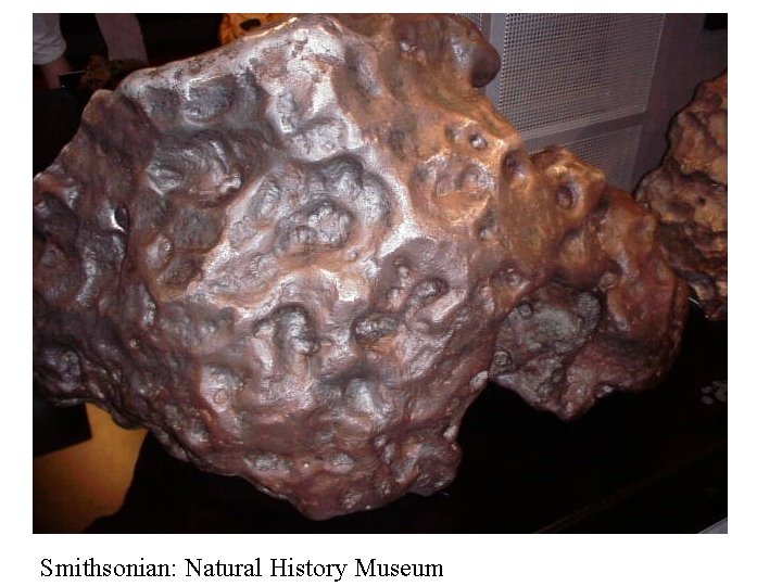 Smithsonian: Natural History Museum 