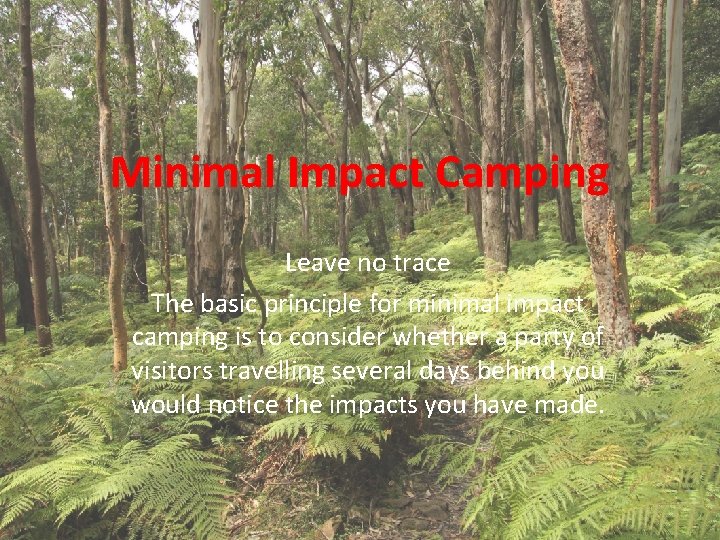 Minimal Impact Camping Leave no trace The basic principle for minimal impact camping is