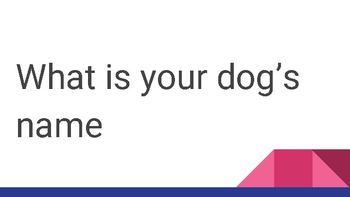 What is your dog’s name 