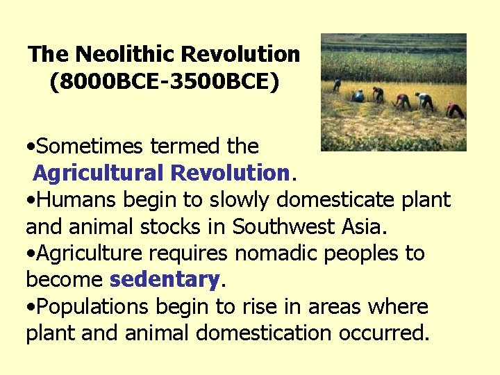 The Neolithic Revolution (8000 BCE-3500 BCE) • Sometimes termed the Agricultural Revolution. • Humans