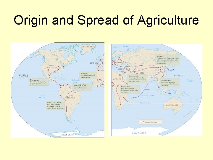Origin and Spread of Agriculture 