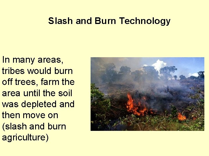 Slash and Burn Technology In many areas, tribes would burn off trees, farm the