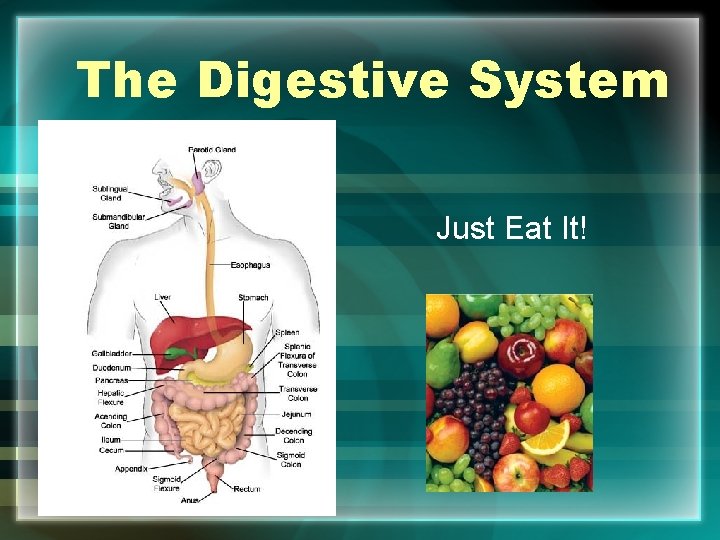 The Digestive System Just Eat It! 