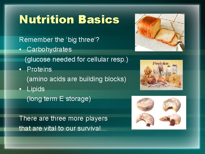 Nutrition Basics Remember the ‘big three’? • Carbohydrates (glucose needed for cellular resp. )