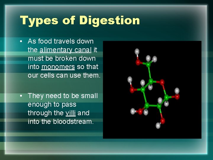 Types of Digestion • As food travels down the alimentary canal it must be