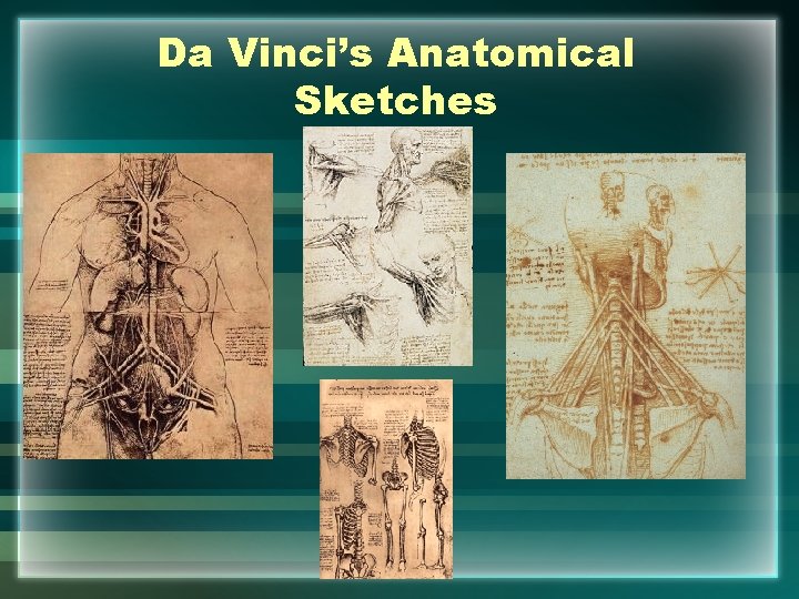 Da Vinci’s Anatomical Sketches 
