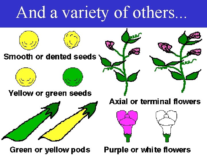 And a variety of others. . . 