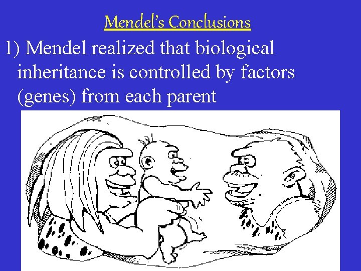 Mendel’s Conclusions 1) Mendel realized that biological inheritance is controlled by factors (genes) from