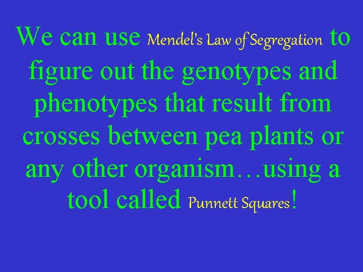 We can use Mendel’s Law of Segregation to figure out the genotypes and phenotypes