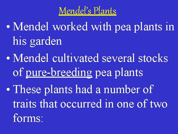 Mendel’s Plants • Mendel worked with pea plants in his garden • Mendel cultivated