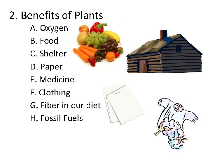 2. Benefits of Plants A. Oxygen B. Food C. Shelter D. Paper E. Medicine