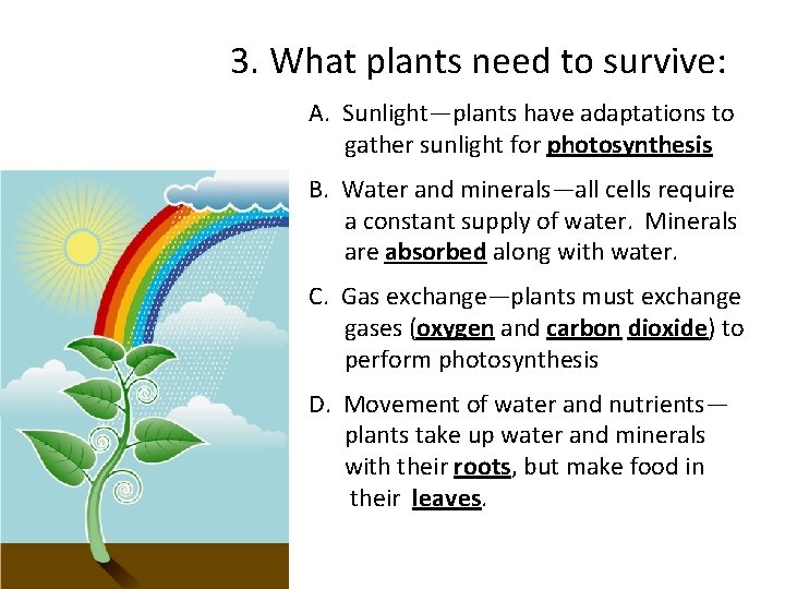 3. What plants need to survive: A. Sunlight—plants have adaptations to gather sunlight for