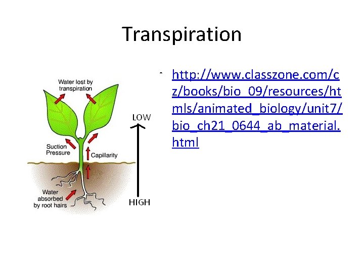 Transpiration • http: //www. classzone. com/c z/books/bio_09/resources/ht mls/animated_biology/unit 7/ bio_ch 21_0644_ab_material. html 