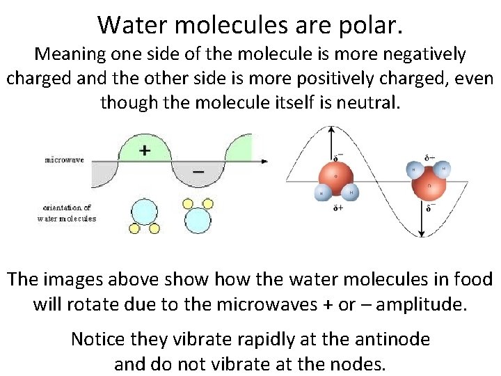 Water molecules are polar. Meaning one side of the molecule is more negatively charged