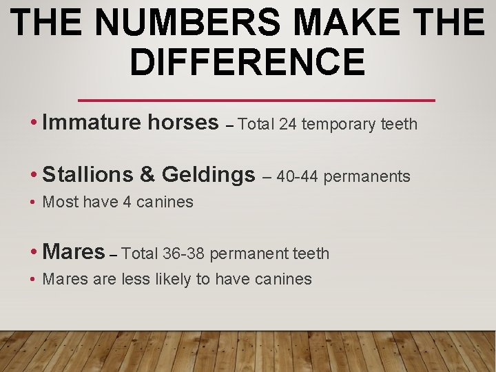 THE NUMBERS MAKE THE DIFFERENCE • Immature horses – Total 24 temporary teeth •