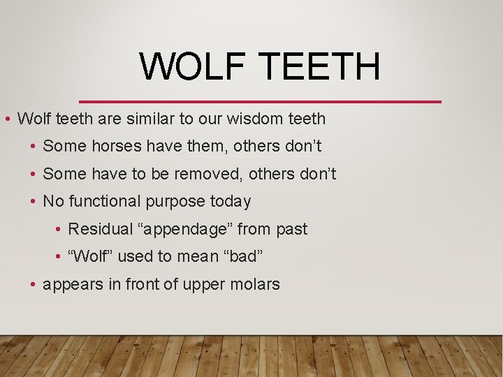 WOLF TEETH • Wolf teeth are similar to our wisdom teeth • Some horses
