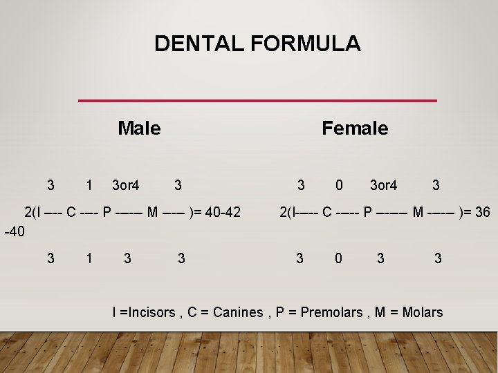 DENTAL FORMULA Male 3 1 3 or 4 Female 3 2(I ---- C ----