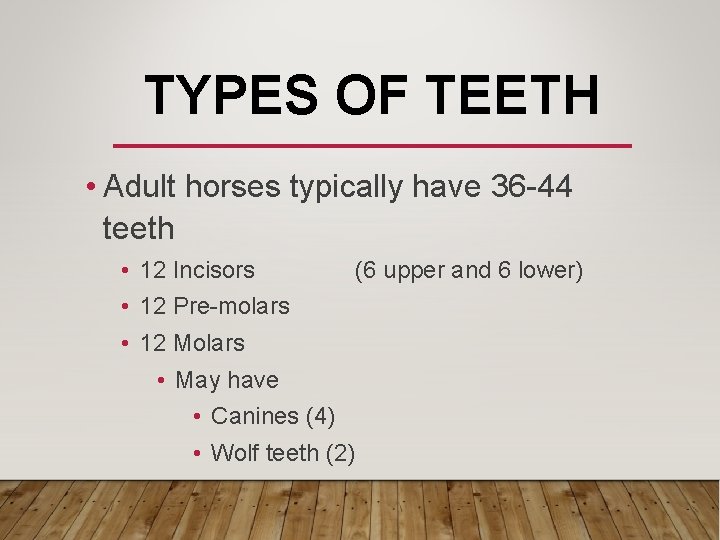 TYPES OF TEETH • Adult horses typically have 36 -44 teeth • 12 Incisors