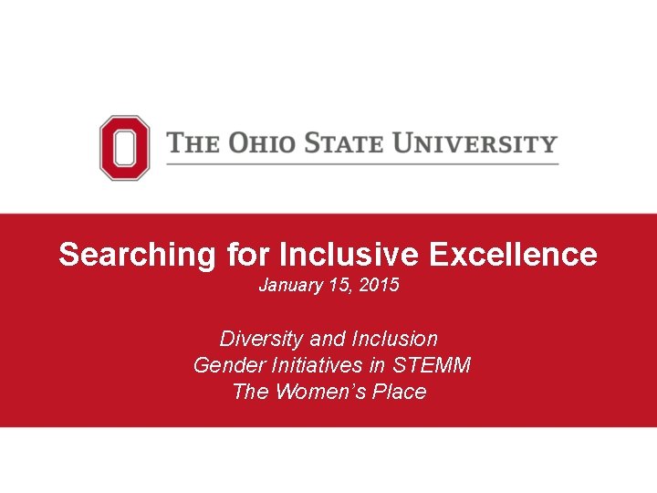 Searching for Inclusive Excellence January 15, 2015 Diversity and Inclusion Gender Initiatives in STEMM