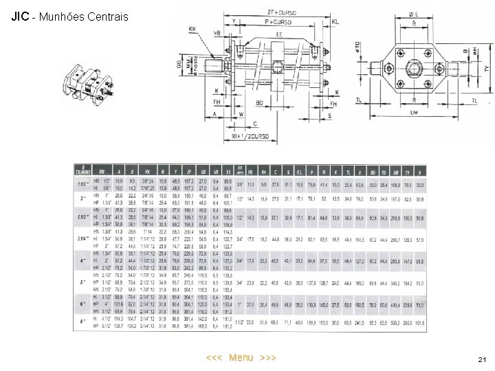 JIC - Munhões Centrais <<< Menu >>> 21 