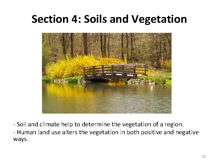 Section 4: Soils and Vegetation - Soil and climate help to determine the vegetation