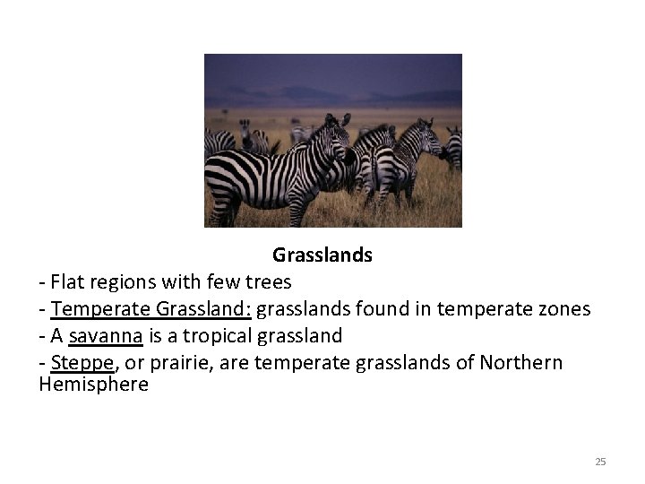 Grasslands - Flat regions with few trees - Temperate Grassland: grasslands found in temperate