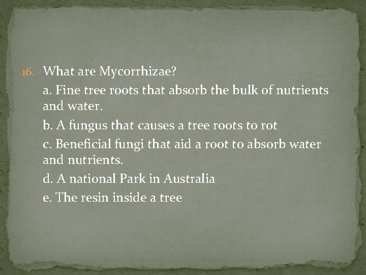16. What are Mycorrhizae? a. Fine tree roots that absorb the bulk of nutrients