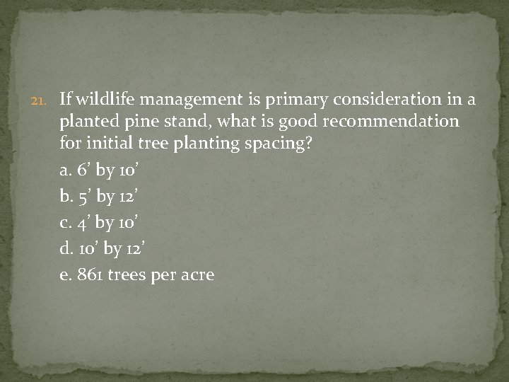 21. If wildlife management is primary consideration in a planted pine stand, what is