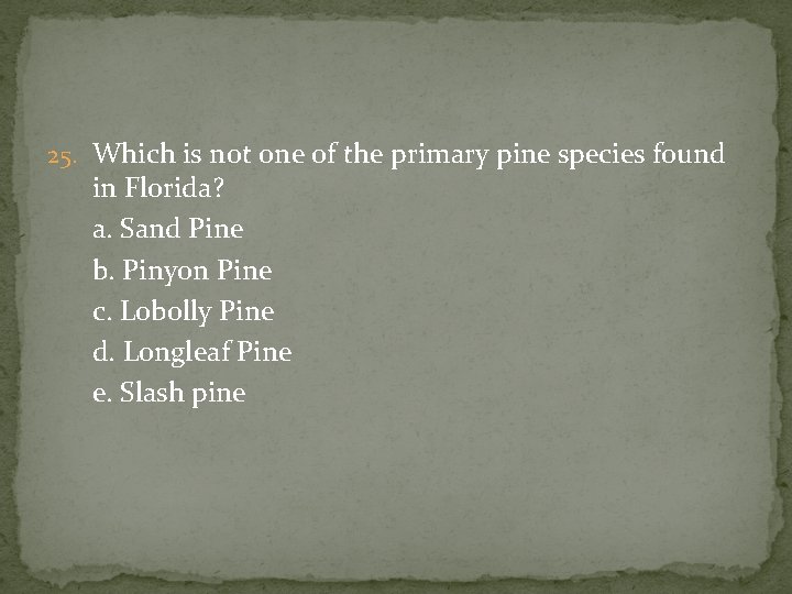25. Which is not one of the primary pine species found in Florida? a.