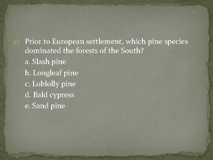 27. Prior to European settlement, which pine species dominated the forests of the South?