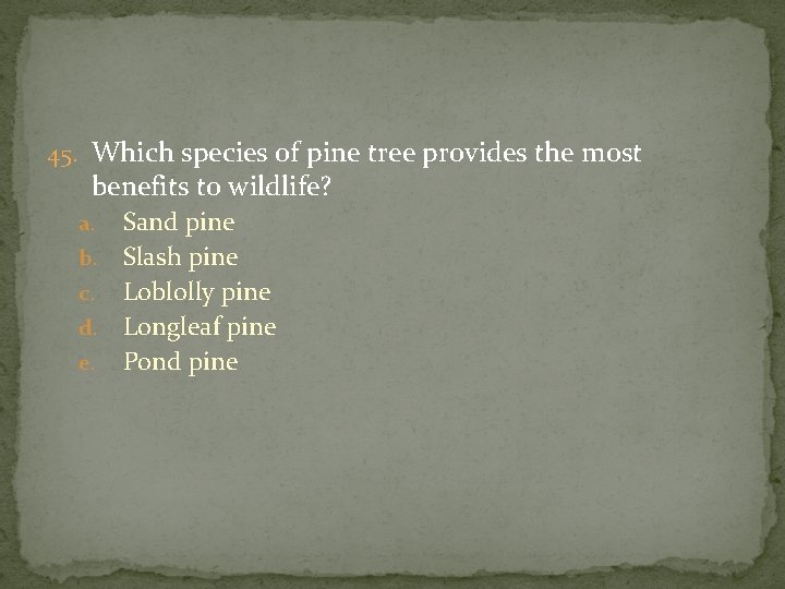45. Which species of pine tree provides the most benefits to wildlife? Sand pine