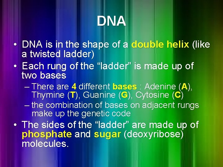 DNA • DNA is in the shape of a double helix (like a twisted DNA • DNA is in the shape of a double helix (like a twisted